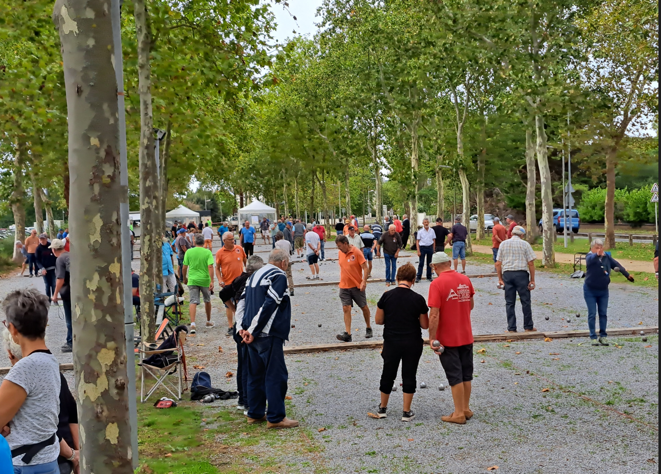 Concours de pétanque