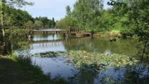 etang de la foucaudière st laurent des autels