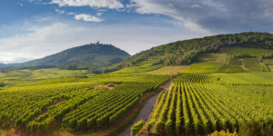 alsace1
