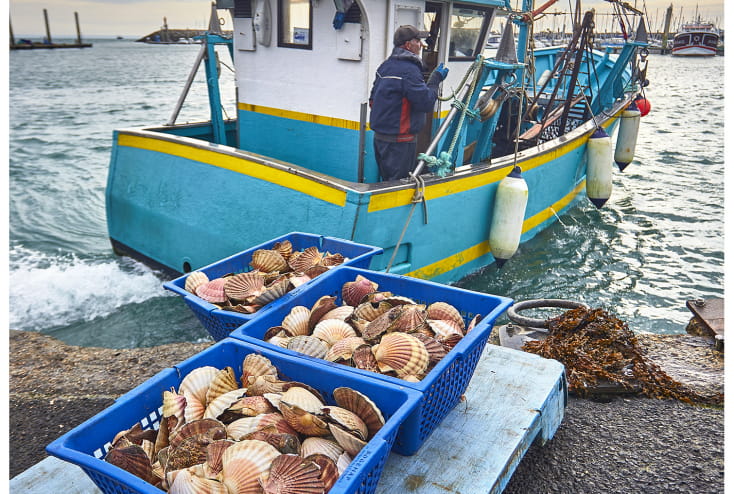 Fête de la Coquille Saint-Jacques – 475 €